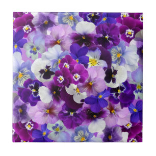 Colourful Pansies, Pretty Flowers, Tile
