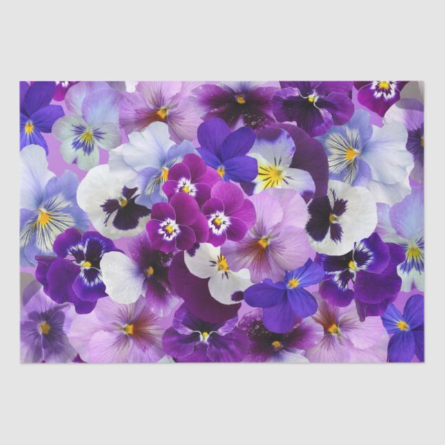 Colourful Pansies, Pretty Flowers, Tissue Paper (Front)