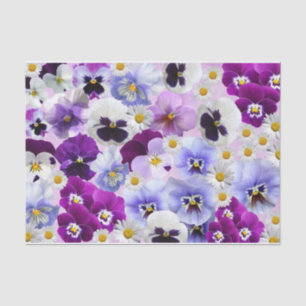 Colourful Pansy and Daisy Flowers Tissue Paper