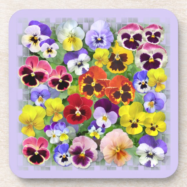 Colourful Pansy Display Coaster (Front)