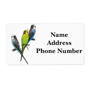 Colourful Parakeets Image