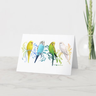 Colourful Parakeets Thank You Card