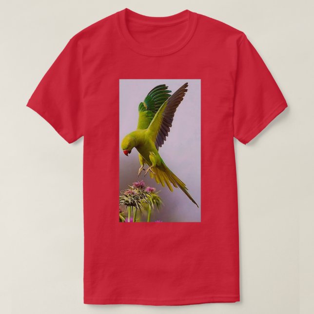 Colourful parrot 1 T-Shirt (Design Front)