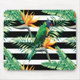 Colourful Parrot And Bird Of Paradise Mouse Mat