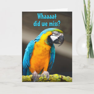 Colourful Parrot Belated Birthday Template