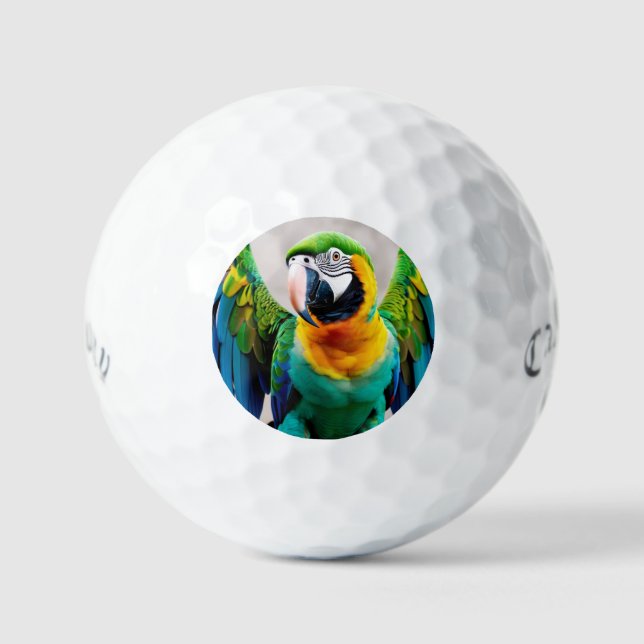 Colourful parrot bird golf balls (Front)