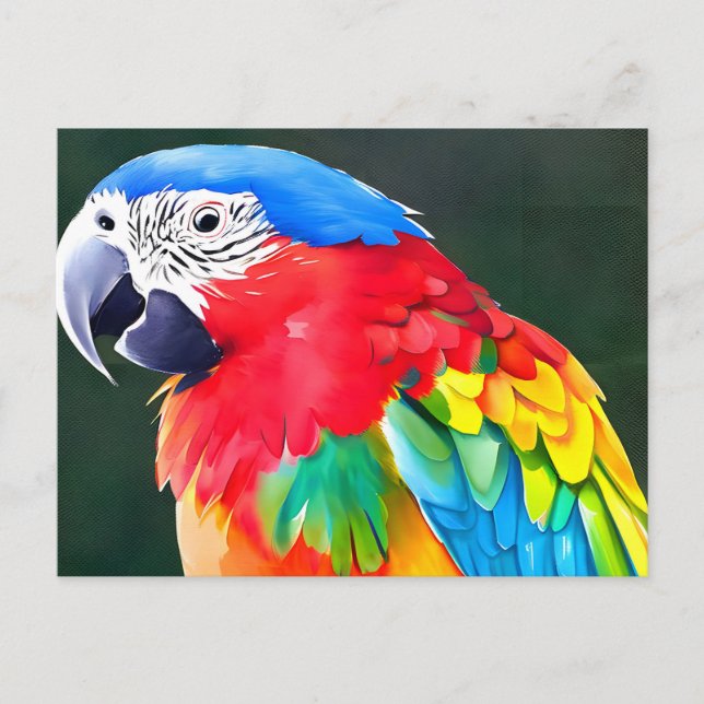 Colourful parrot bird postcard (Front)