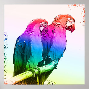 Colourful Parrot Couple Poster