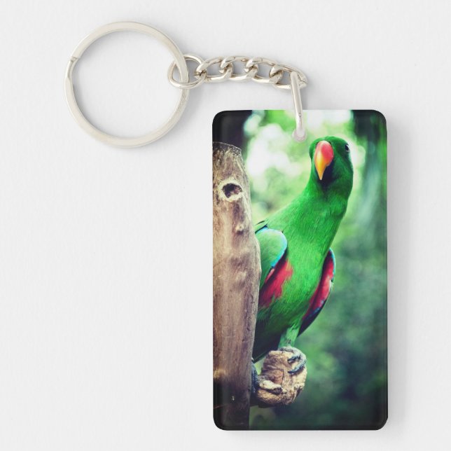 Colourful Parrot Macaw Bird Key Ring (Front)