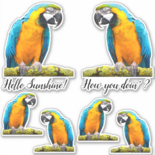 Colourful Parrot On Lichen Branch Custom