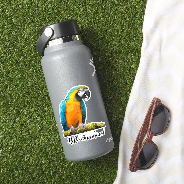 Colourful Parrot on Lichen Branch Photo Custom (HydroFlask Insitu)