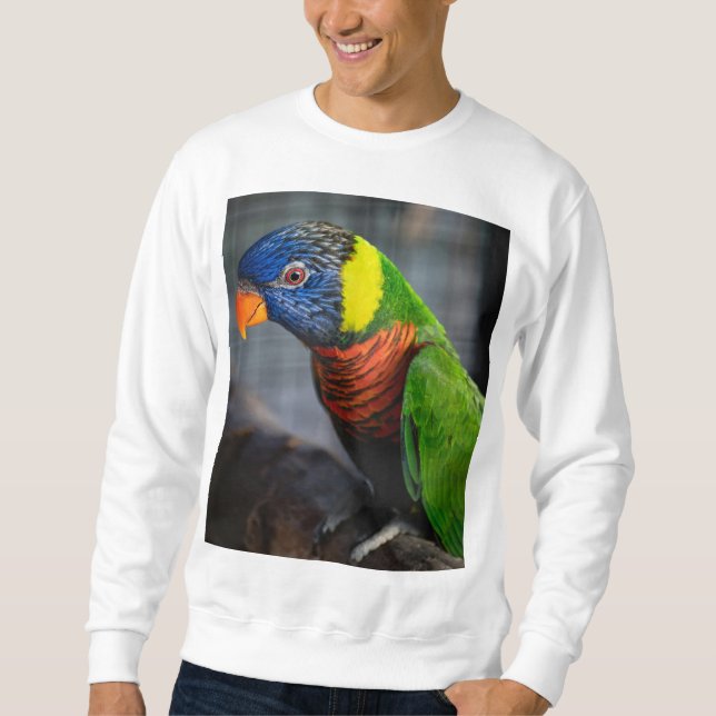 Colourful Parrot Paradise T-Shirt Sweatshirt (Front)