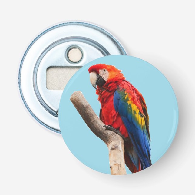 Colourful Parrot Portrait Photo Bottle Opener (Front)