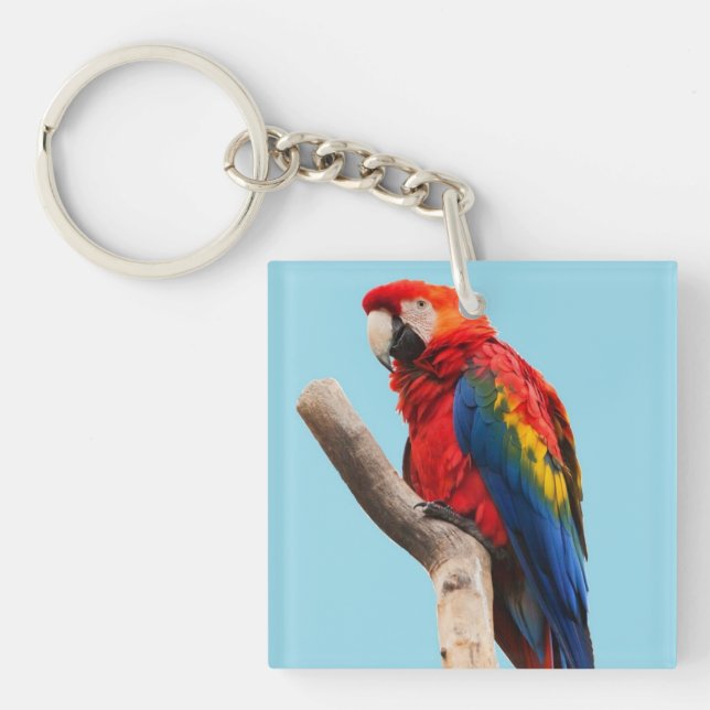 Colourful Parrot Portrait Photo Key Ring (Front)