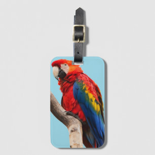 Colourful Parrot Portrait Photo Luggage Tag