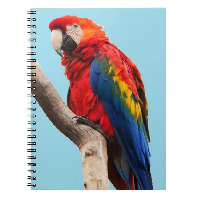 Colourful Parrot Portrait Photo Notebook (Front)