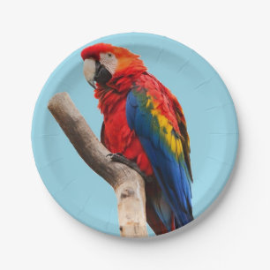 Colourful Parrot Portrait Photo Paper Plate