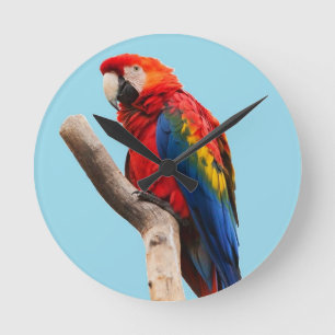 Colourful Parrot Portrait Photo Round Clock