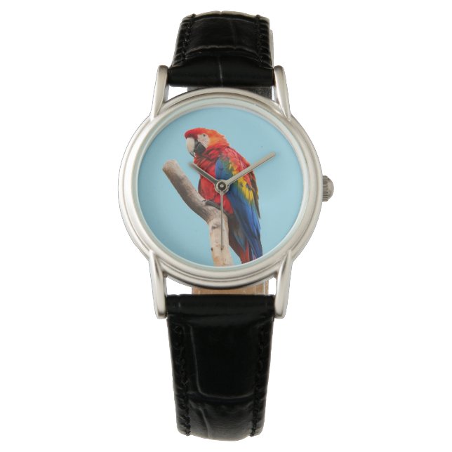 Colourful Parrot Portrait Photo Watch (Front)