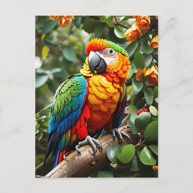 Colourful Parrot Postcard (Front)