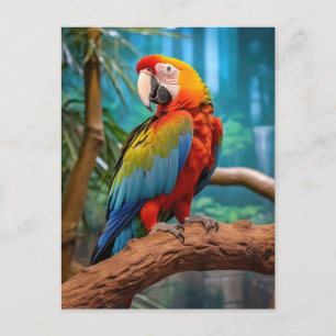 Colourful Parrot Postcard