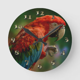 Colourful Parrot Round Clock