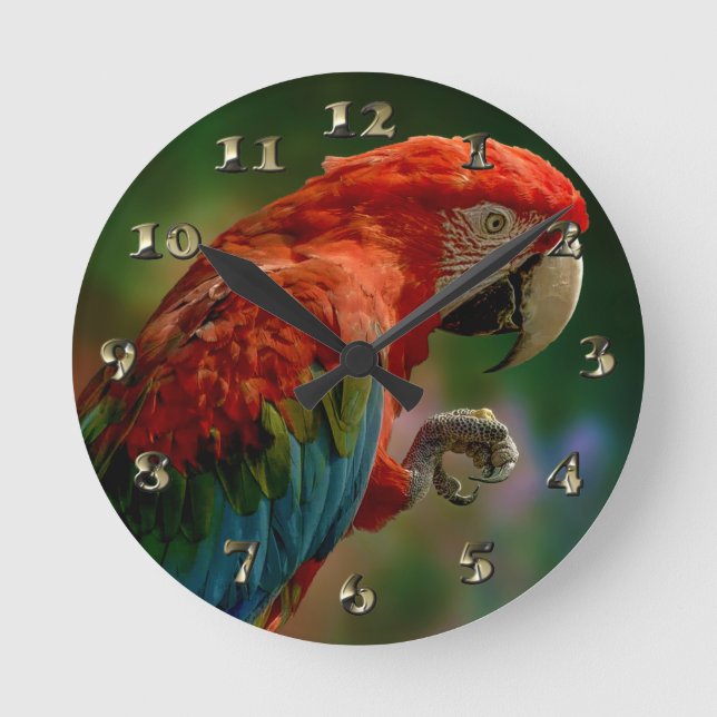 Colourful Parrot Round Clock (Front)