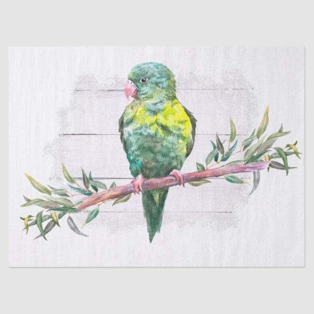 Colourful Parrot Tropical Watercolor Tissue Paper (Front)