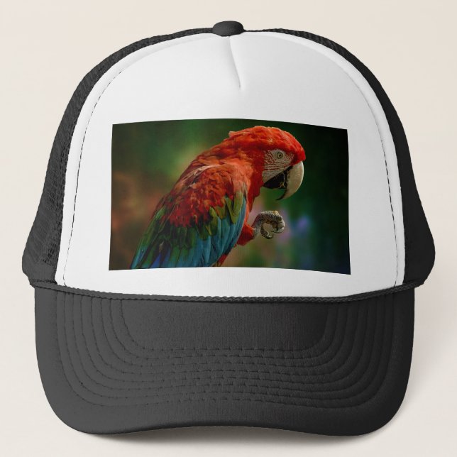 Colourful Parrot Trucker Hat (Front)