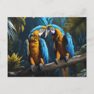 Colourful Parrots Postcard