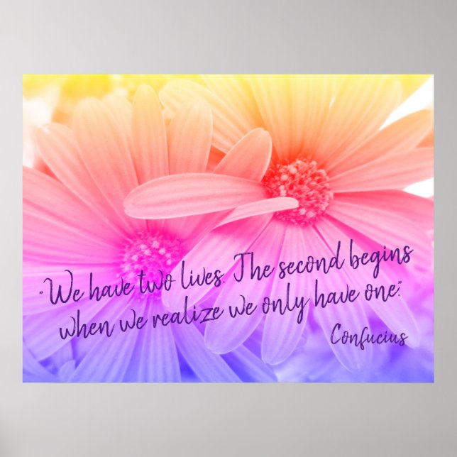 Colourful Pastel Flowers Daisies Confucius Quote Poster (Front)