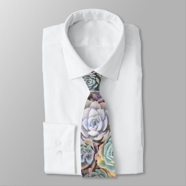 Colourful Pastel Succulent Tie (Tied)