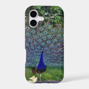 Colourful Pattern Bird Peacock Art Indian Destiny
