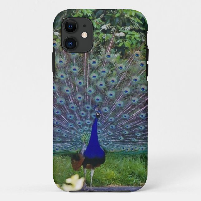 Colourful Pattern Bird Peacock Art Indian Destiny Case-Mate iPhone Case (Back)