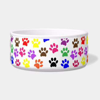 Colourful Paw Print Bowl