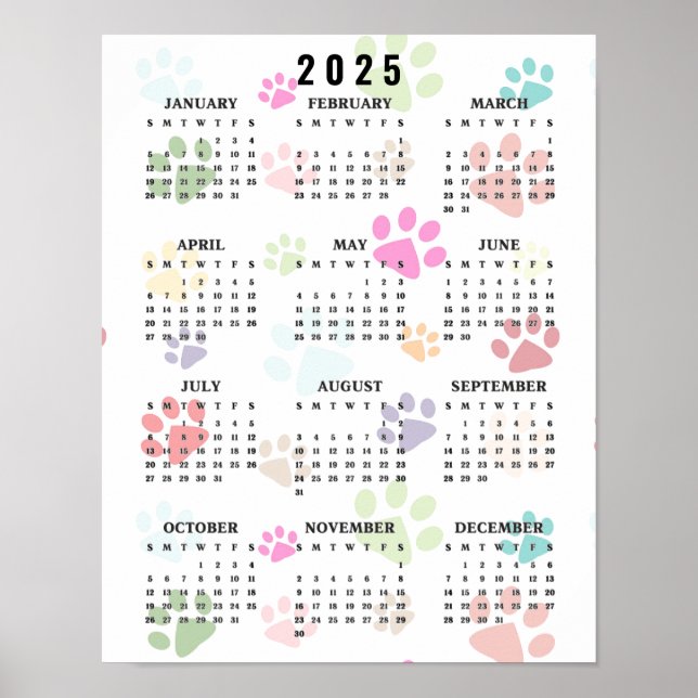 Colourful Paw Prints 2025 Wall Calendar (Front)
