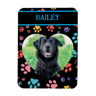 Colourful Paw Prints Dog Photo Magnet
