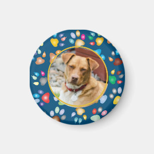 Colourful Paw Prints Pattern Magnet