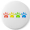 Colourful Paws