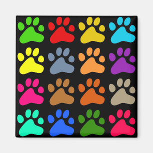 Colourful Paws Magnet