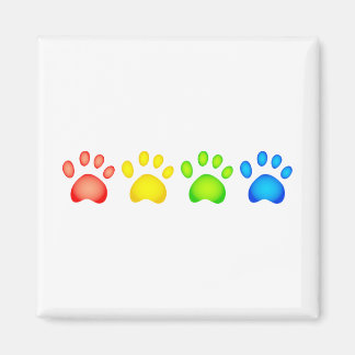Colourful Paws Magnet