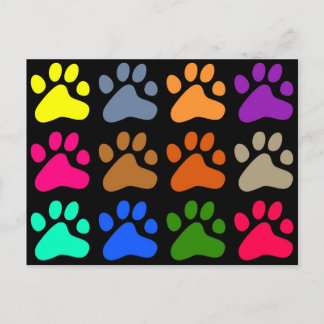 Colourful Paws Postcard