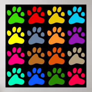 Colourful Paws Poster