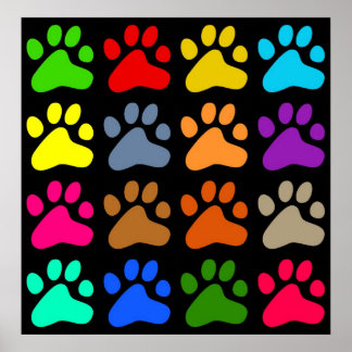 Colourful Paws Poster