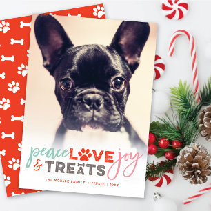 Colourful Peace Love Joy Treats Dog Lover Photo Pe Holiday Card