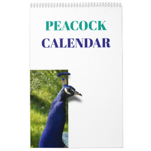 Colourful Peacock 2026 Calendar