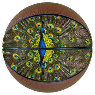 Colourful peacock basketball