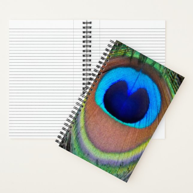 Colourful Peacock Feather Eyespot Notebook (Inside)