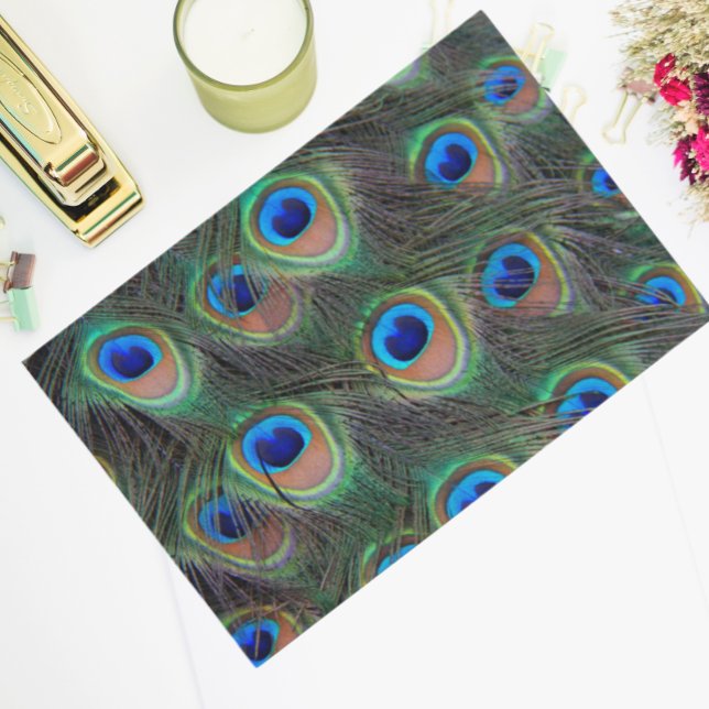 Colourful Peacock Feather Eyespot Pattern Tissue Paper (In Situ)