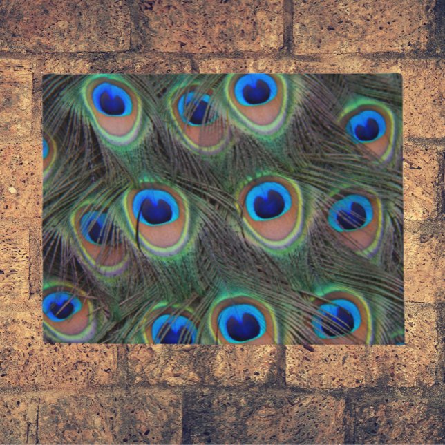 Colourful Peacock Feather Eyespots Pattern Doormat (In Situ)